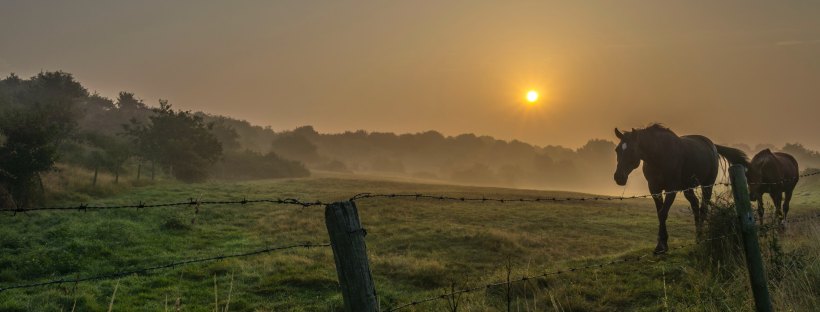 Farmland by Stefan Widuai on Unsplash: The Farm by Joanne Ramos (The Modest Reader)