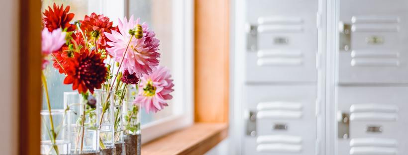 Lockers by Tina Witherspoon on Unsplash: Perfect On Paper by Sophie Gonzales (The Modest Reader)