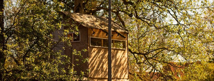 A wooden treehouse sits in a tree