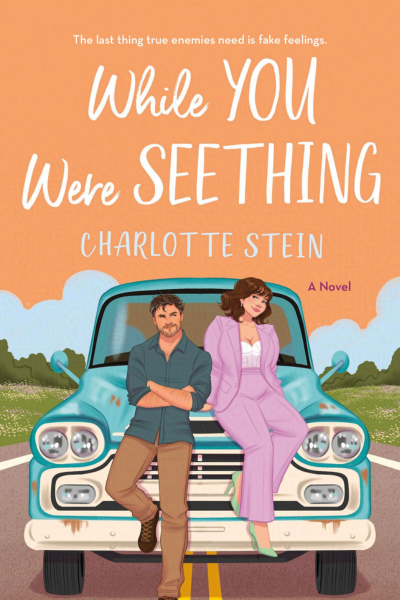 While You Were Seething (Book Cover) by Charlotte Stein: The Modest Reader