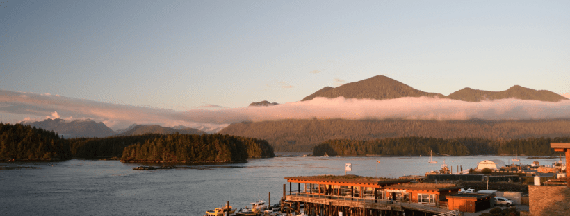 Tofino harbour at sunset with mountains in the background